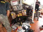 Drug-sniffing soppy black lab on the Amazon boat